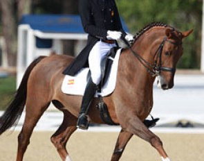 Roger Comas Margarit on Fidergold