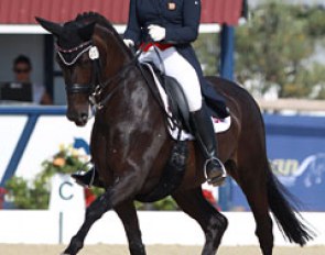 Charlotte Dicker and Sabatini at the 2015 European Junior/Young Riders Championships in Vidauban, France :: Photo © Astrid Appels