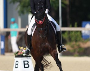 Sille Engermann on Darius