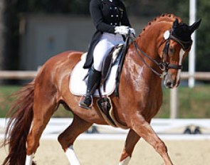 Paulina Holzknecht and Wells Fargo at the 2015 European Junior Riders Championships :: Photo © Astrid Appels