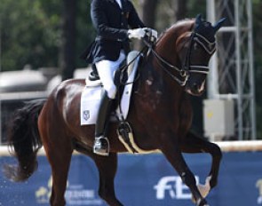 Juan Matute Guimon on Dhannie. The horse is owned by Sandaraca Vince S.L., a company owned by Yeguada de Ymas' Cristina Danguillecourt, long time sponsors of the Matute family. 