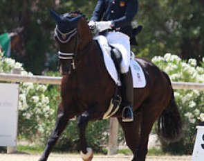 Juan Matute Guimon on Dhannie