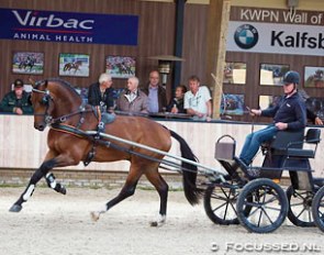 Henkie at the 2015 KWPN Stallion Performance Testing :: Photo © Anniek van Schaik