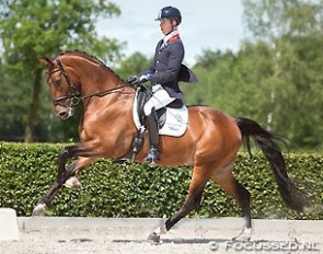 Tom Franckx and Evento D at the 2015 Dutch WCYH selection trial in Ermelo :: Photo © Focussed.nl