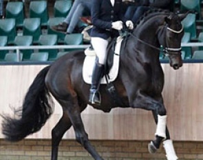 Daily Diamond (by Daily Deal x Furst Heinrich)