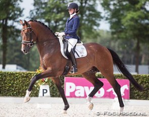 Marieke van der Putten and Geniaal at the 2015 Pavo Cup Finals :: Photo © Anniek van Schaik