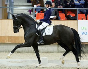 Glock's Toto Jr (by Totilas x Desperados)