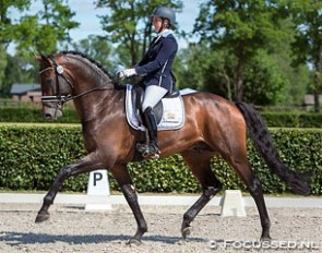 Mirelle van Kemenade-Witlox and Ferdinand at the second Dutch WCYH selection trial of 2015 in Ermelo :: Photo © focussed.nl