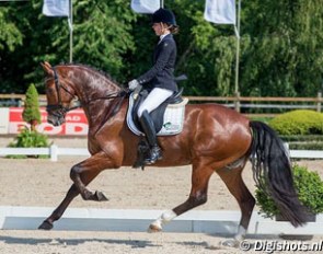 Annemiek van Venrooij on Gatino :: Photo © Digishots