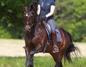 Lucinda and Best of All (by Bordeaux)