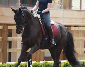 Lucinda Elliott schooling Sophia
