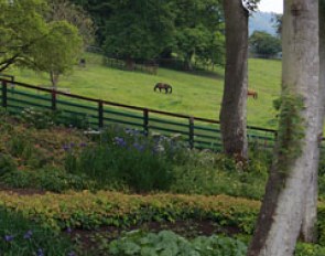 A view on one of the numerous pastures at Mount St. John