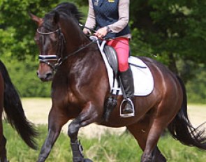 Pauliina hacking MSJ Top Secret