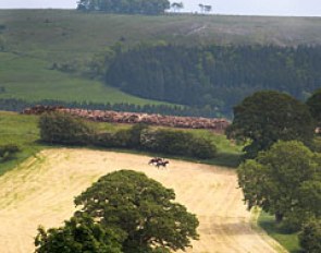 Taking the horses out for a hack