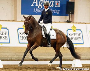 Patrik Kittel test riding Final Countdown at the 2015 Swedish Young Horse Championships in Flyinge :: Photo © David Svensson