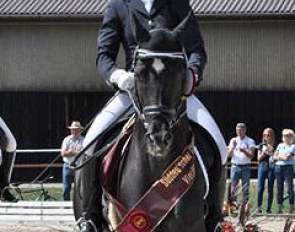 Feriado (by Fabregas) competing in 2015