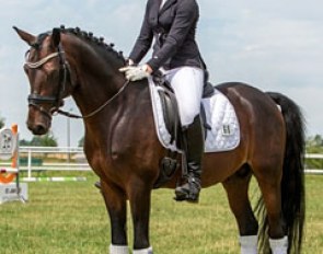 Lisa Friedrichs on No Problem