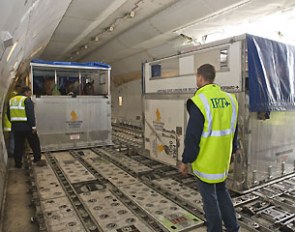 IRT are specialists in flying horses to long haul destinations around the globe