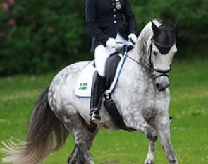 Felicia Brannstrom on Bomgaardens Dicaprio