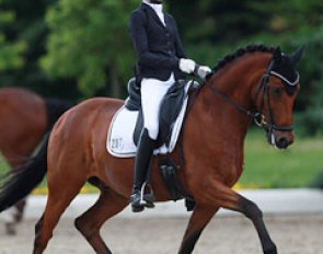 Helen Erbe and FS Charly Brown at the 2015 CDIO-P Hagen :: Photo © Astrid Appels