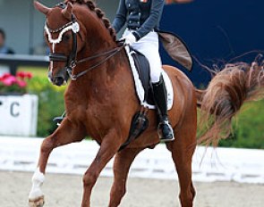 Sharon Höltschi on Daniolo