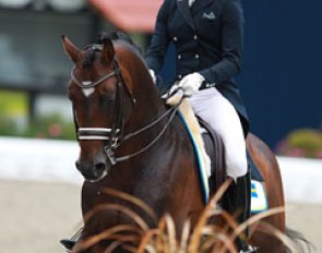 Swedish Rebecca Jern on the Dutch bred stallion Twiligt (by Flemmingh x Sprinter of Marshwood)