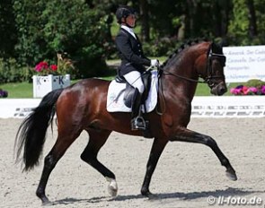Annika Korte on Fürst Larino (by  Fürst Romancier x Don Larino)
