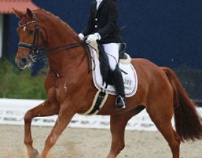 Gergely Pachl and Whispering Beauty at the 2015 CDIO-PJYR Hagen :: Photo © Astrid Appels