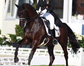 Juliette Piotrowski and her Sandro Hit offspring Sir Diamond represented Germany in the U25 division in Hagen