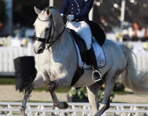 Coby van Baalen's student Kim Schmid on the Dutch bred Theodoor (by Metall x Purioso)