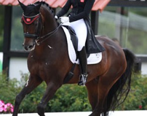 Danish Victoria Vallentin on Gestut Sprehe's Bavarian bred Furstentraum (by Furst Heinrich x Konigstraum xx)