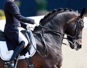 Mirelle van Kemenade on the PSI auction horse Dreamcatcher
