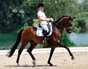Ramona Ritzel and Superdry finished sixth in the 6-year old division at the 2015 Ingolstadt Bundeschampionate qualifier