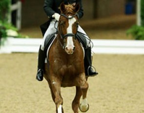 Michael Poulin and Thor M at the 2015 U.S. Dressage Finals :: Photo © Sue Stickle