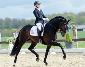 Sandra Kötter and Danzador at the stallion's show debut in Lienen, Germany