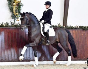 Kira Wulferding on Dressage Performance Centre Lodbergen's Oldenburg licensing champion For Romance :: Photo © Tanja Becker