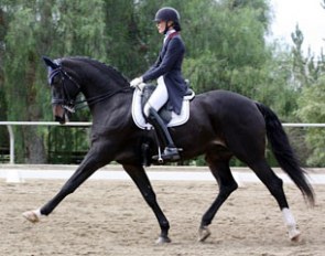 Charlotte Jorst and Akeem Foldager at their show debut at the 2015 Dressage at Spirit Equestrian CDR :: Photo © Whitney Harrington