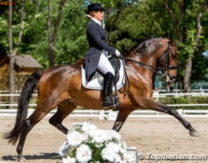 Cristina Duran Vincens and Manchego ARB at the 2015 CDI Madrid :: Photo © Top Iberian