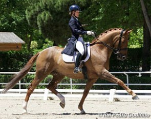 Josefin Gyllensward and Don Angelo at the 2015 CDI Madrid :: Photo © Rui Pedro Godinho