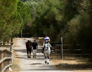 Sarah Warne and Batialo at the 2015 CDI Mallorca :: Photo © Top Iberian