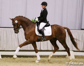 Duvalier (by Don Juan de Hus x Belissimo M) :: Photo © LL-foto