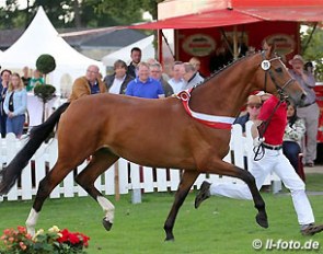 Vienna (by Vitalis x Florestan), champion of the 2015 Westfalian Elite Mare Show :: Photo © LL-foto