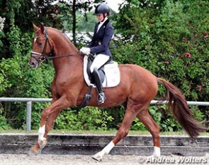 Lydia Camp and Bordeaux' Barolo at the 2015 Bundeschampionate qualifier in Neuss-Grefrath :: Photo © Andrea Wolters