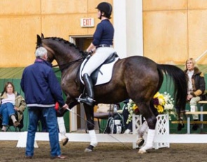 Johann Hinnemann helping Gwyneth McPherson on Well Done with the piaffe while judge Angelika Frömming watches at the Pineland Farms clinic :: Photo © Donna Allen