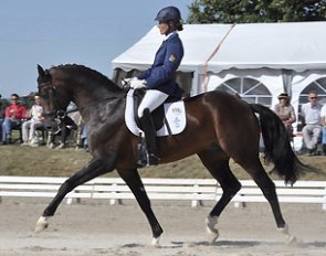 Friederike Schulz-Wallner and Bob Dylan were the runners-up in the 5-year old division at the 2015 Bundeschampionate qualifier in Nördlingen 