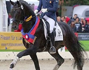 Borja Carrascosa and Hof Kasselmann's Fior (by Furstenball) at the 2015 Oldenburg Regional Championships in Rastede :: Photo © LL-foto