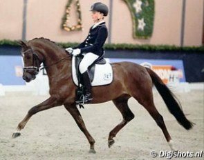 Marten Luiten and Movie Star at the 2015 CDI Roosendaal Indoor :: Photo © Digishots