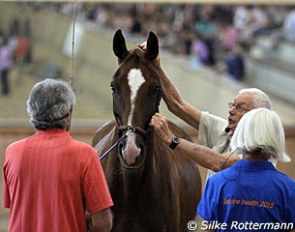 Symposium with Manolo Mendez and Dr. Kerry Ridgway at the Schwaiganger State Stud in Bavaria :: Photo © Silke Rottermann