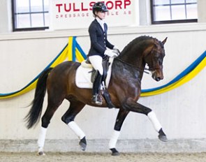 Ida-Linn Lundholm and Ampere at the 2015 Tullstorp stallion show :: Photo © C. Brink
