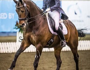 Mary Hanna and Umbro S win the Grand Prix Kur at the 2015 CDI-W Sydney and Australian Championships :: Photo © Stephen Mowbray